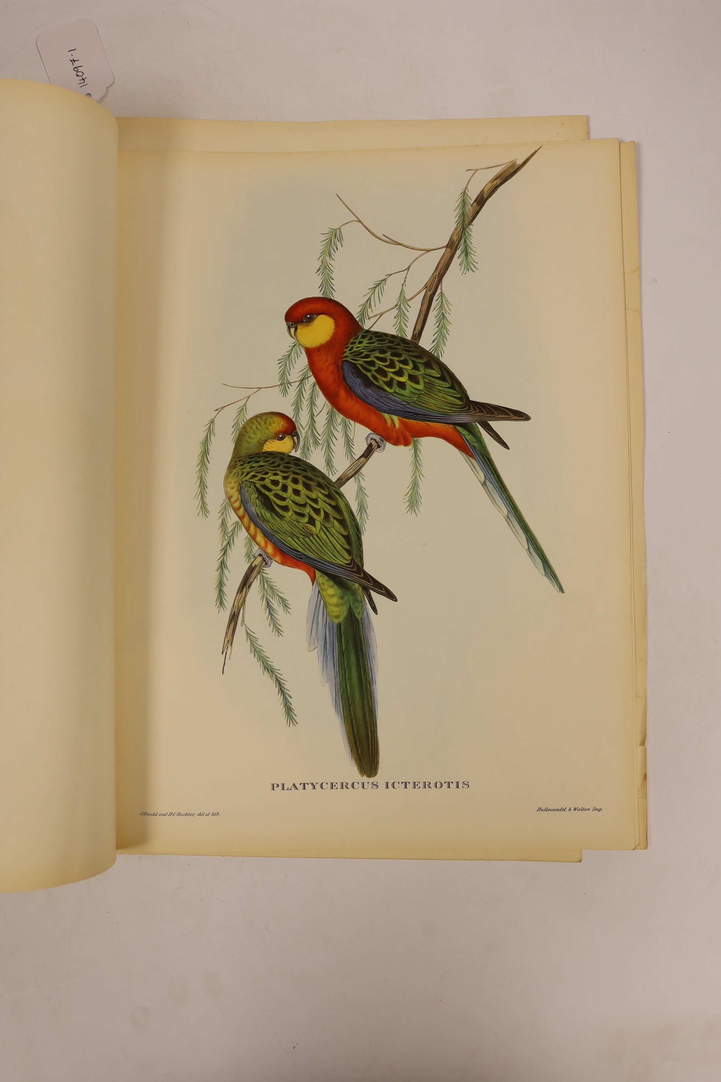 After John Gould (1804-1881) & H C Richter, 'Uccelli Tropicali', a folio of ten colour lithographs, birds, 40 x 30cm